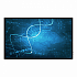 Промышленный монитор W32L100-PTA1-SDI
