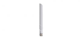 ANT-WDB-ANM-0306