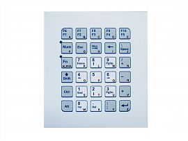 KS20264 TKS-030c-MODUL-PS/2-INT