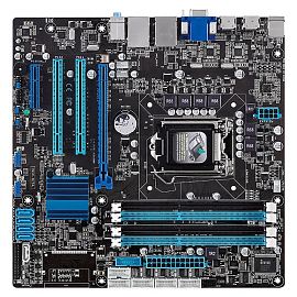 NEX-810
