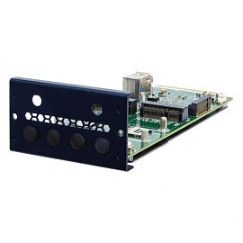 PulM-2P1M